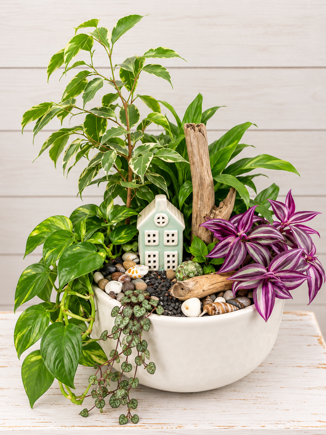 Designer's Choice Dish Garden