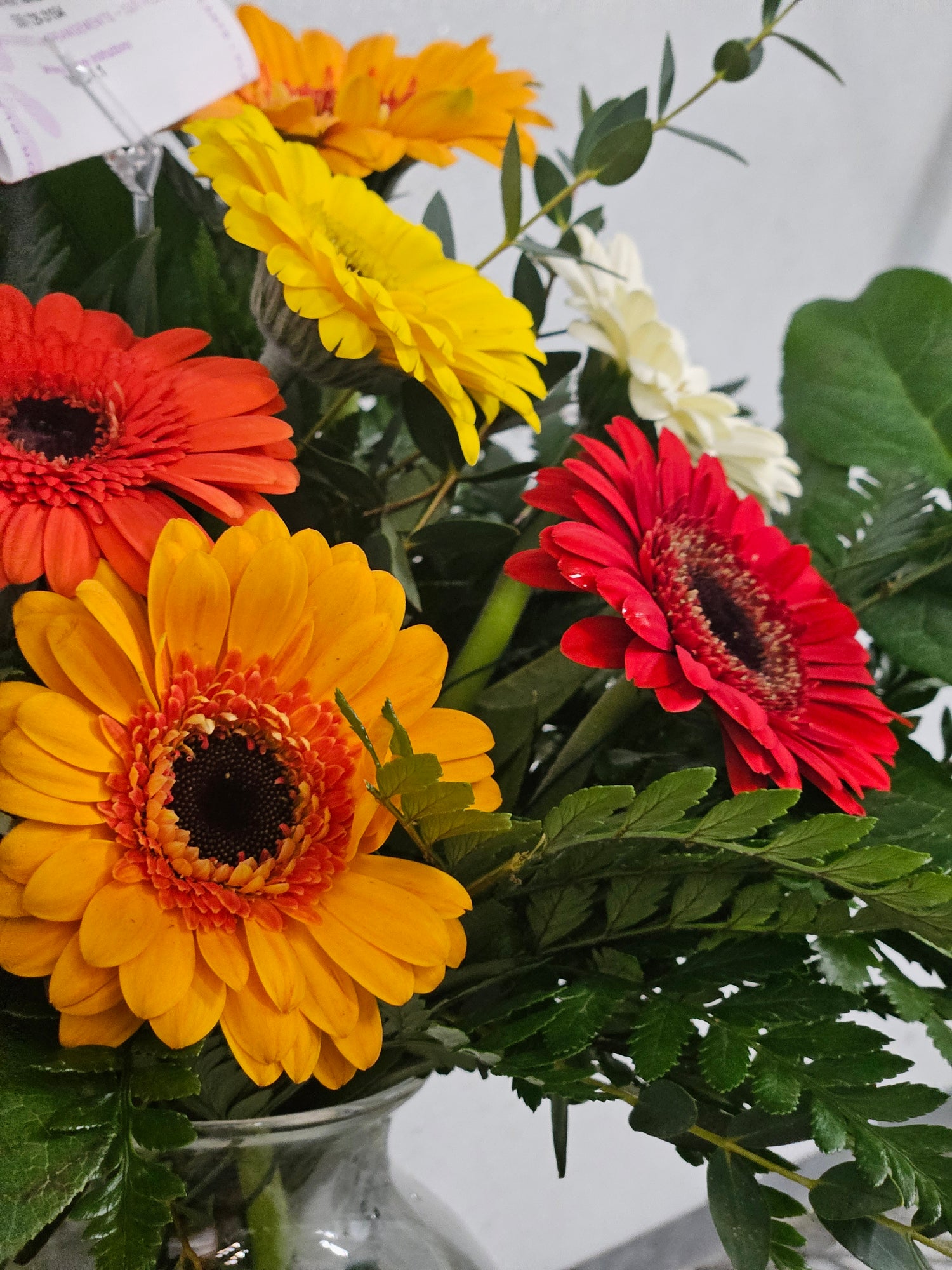 Bouquet of colorful gerbera daisies with green leaves on a neutral background