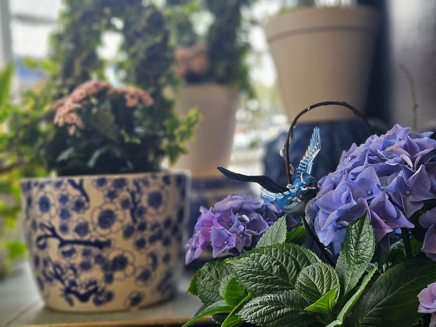 Close-up of a pot with purple flowers and green leaves, with blurred background