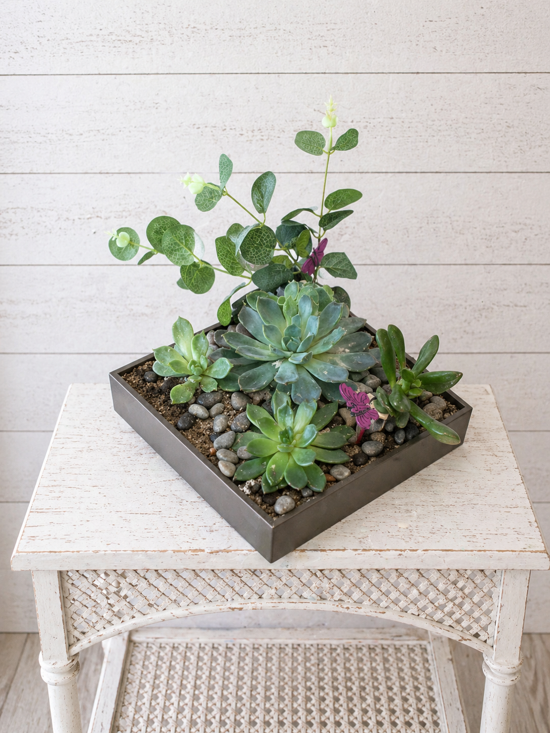 Designer's Choice Succulent