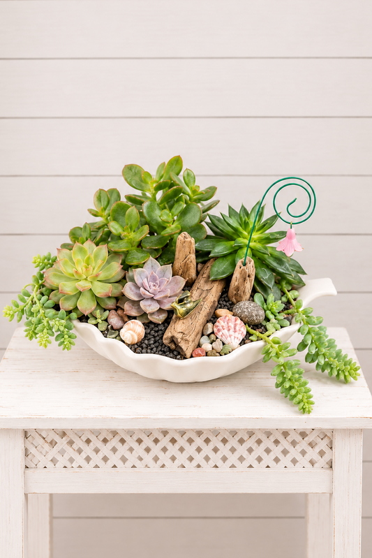 Designer's Choice Succulent Garden