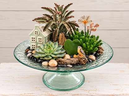 Designer's Choice Succulent Garden