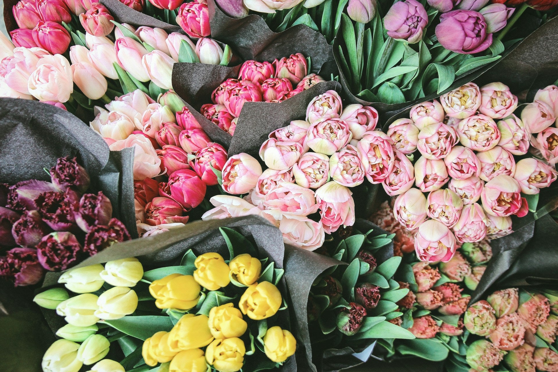 Assorted bouquets of tulips in various colors with green leaves.