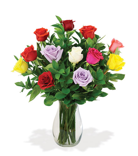 Coloured Roses in Vase